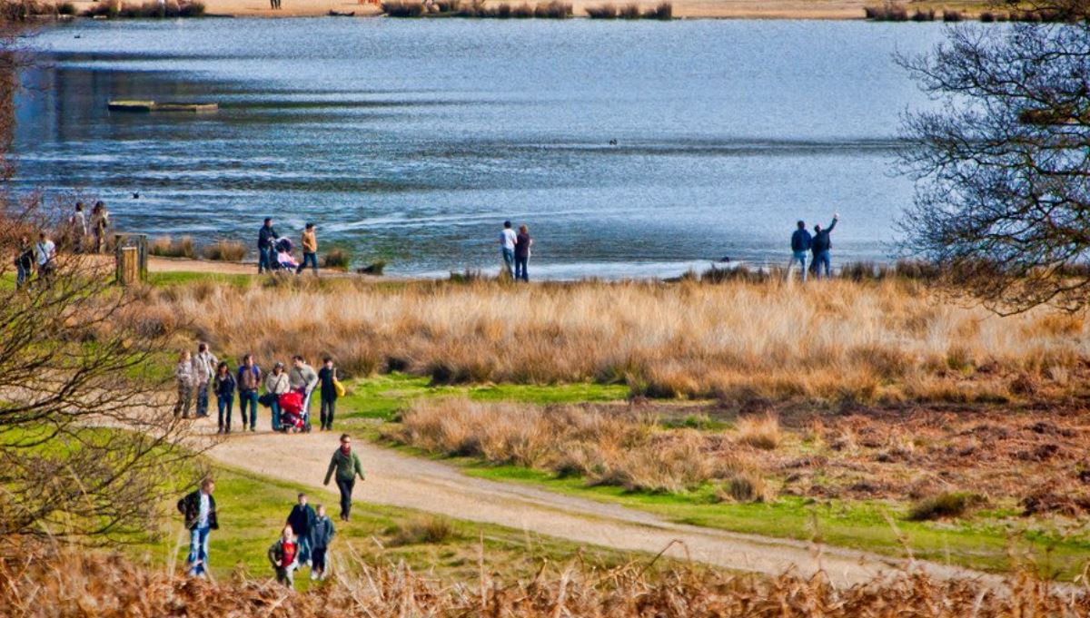 Best 15 dog parks in England for 2020